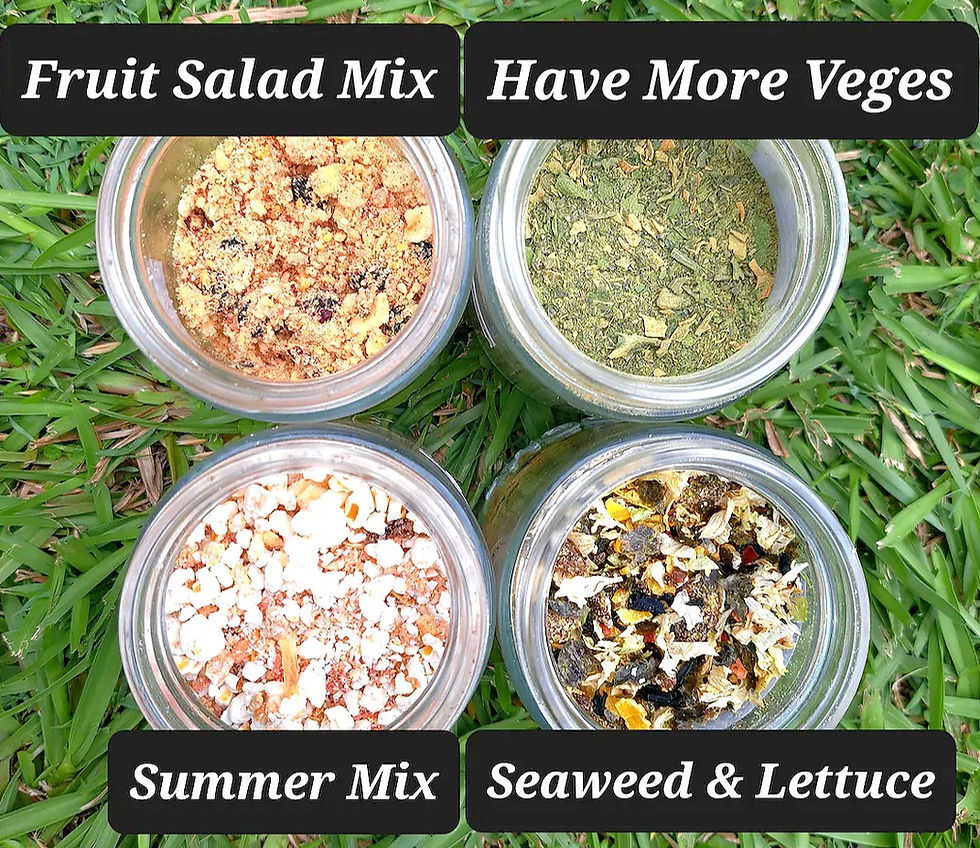 Thumbnail: Fill Your Containers with Hermie Food