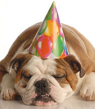 Dog poop, doody duty, doodydutyfl.com, dog poop lake mary, poop orlando, pet waste removal