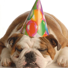 Birthday
