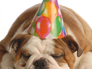 Birthday Pawties at K9 Anytime!