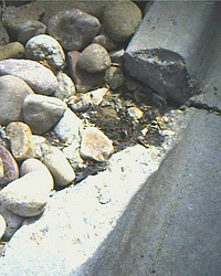 A repairable defect vs irreparable damage