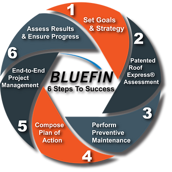 The BLUEFIN Way