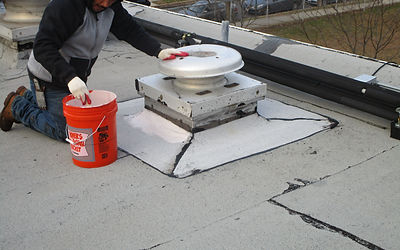 BLUEFIN repairs roofs as we survey