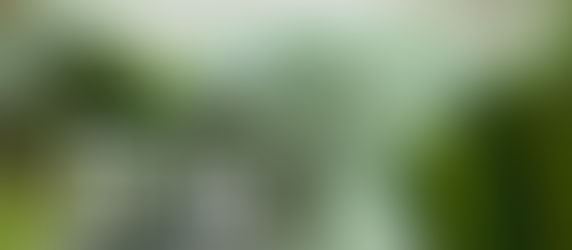 5 วิธีทำให้บ้านเป็นมิตรกับหน้าฝน