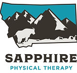 SapphireLogo1_edited.jpg