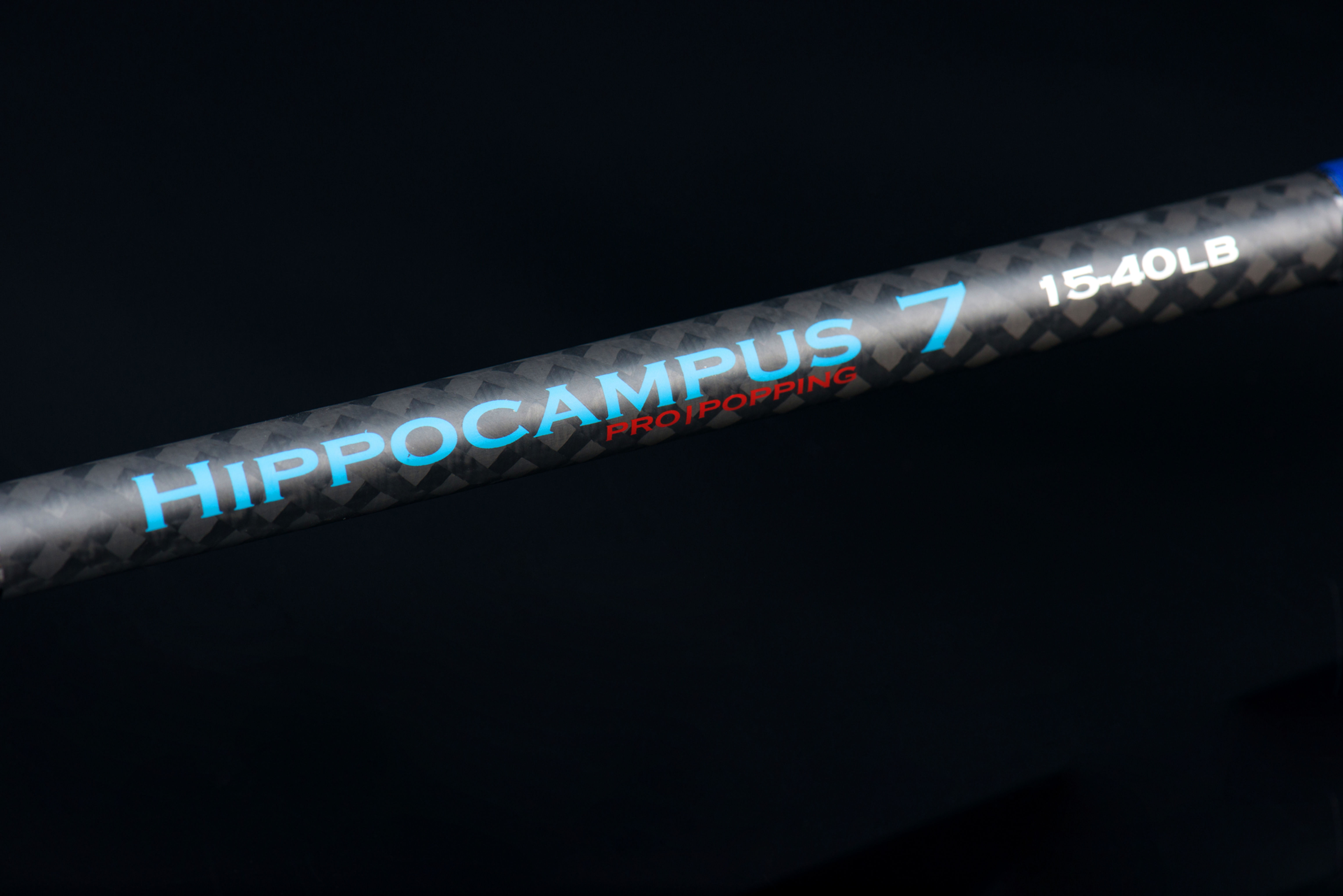 Hippocampus Black Series