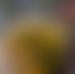 Days 12-15, the Golden triangle, India 