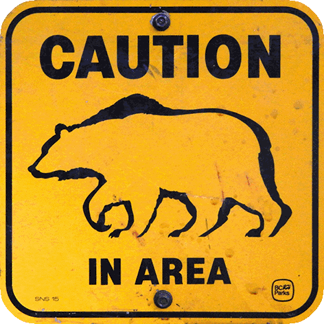 caution bears