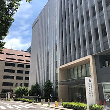 IMG_0375.jpeg