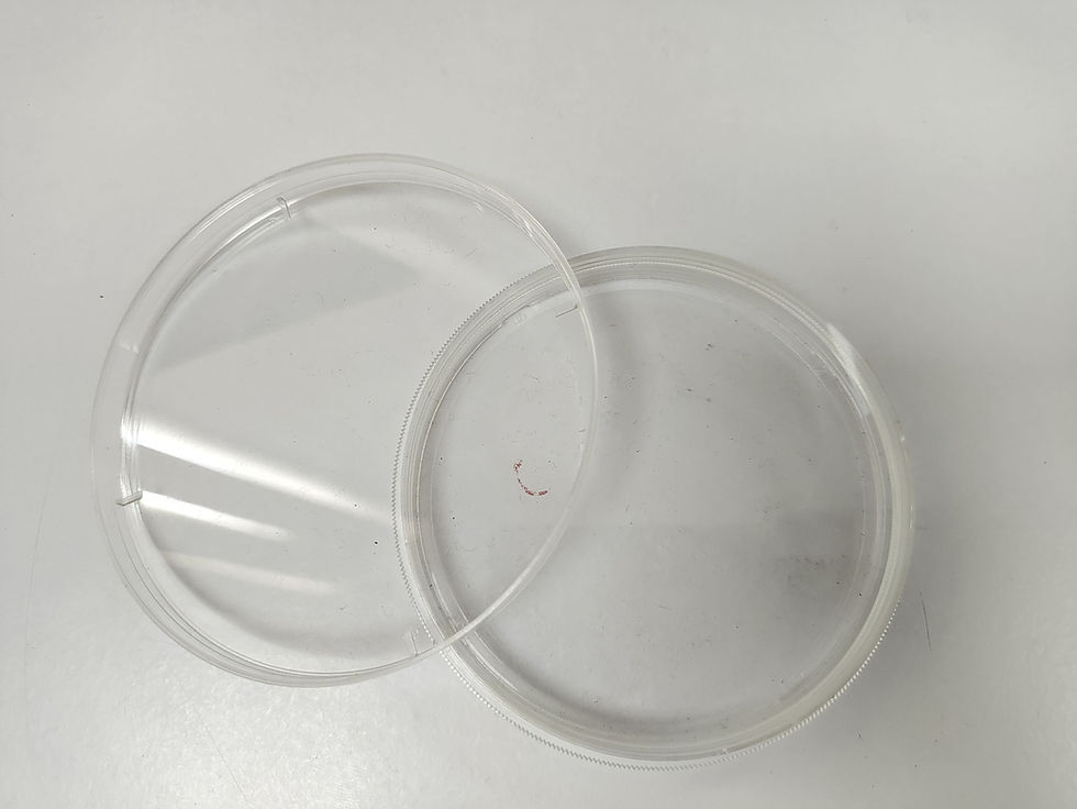 Thumbnail: Petri dish (90mm diameter) - 10 nos.