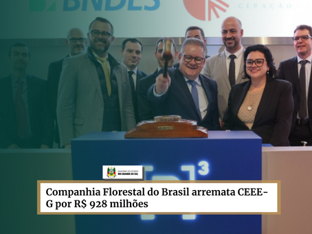 Companhia Florestal do Brasil arremata CEEE-G por R$ 928 milhões