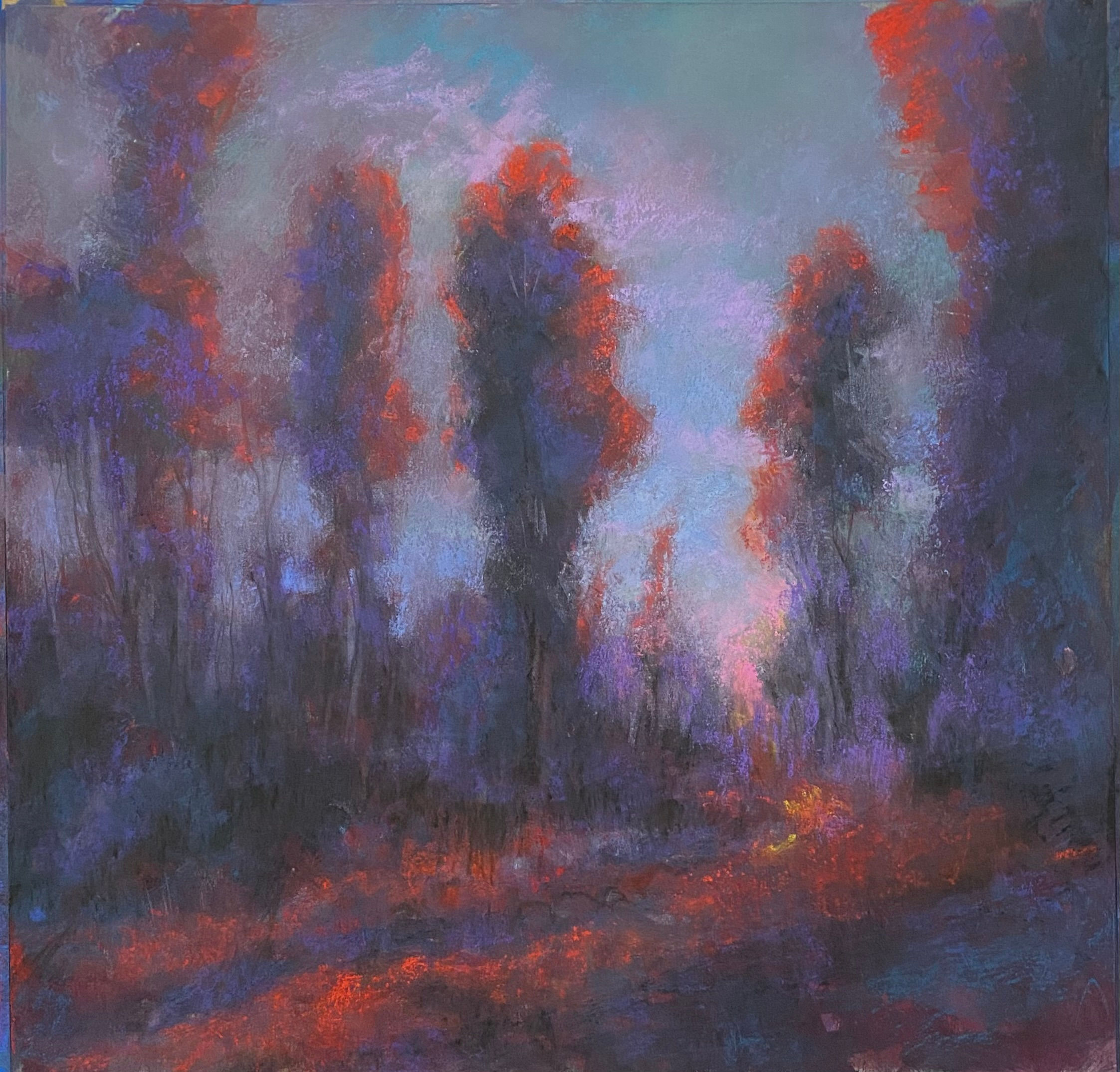 Fire Lane with Scrub Trees