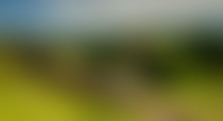有拒签史，护照白本的申请人怎样才能顺利拿到号称“世界上最难的”加拿大旅游签呢？