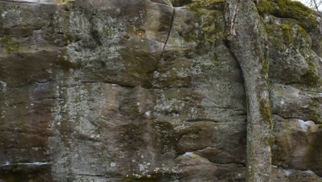 Climbing Rocks of the High Country