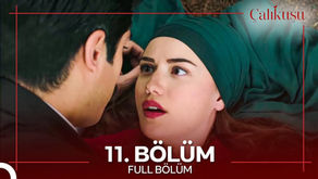 Çalıkuşu VOSTFR - Épisode 11