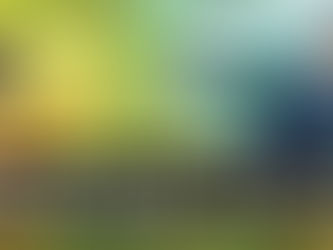 Forest VOSTFR - Episodes 27 & 28