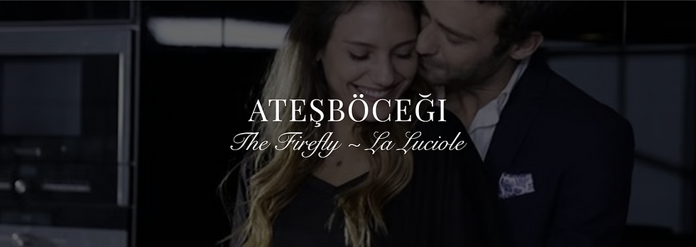 Ateşböceğicouv.png