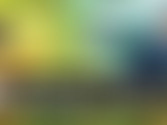 Forest VOSTFR - Episodes 15 & 16