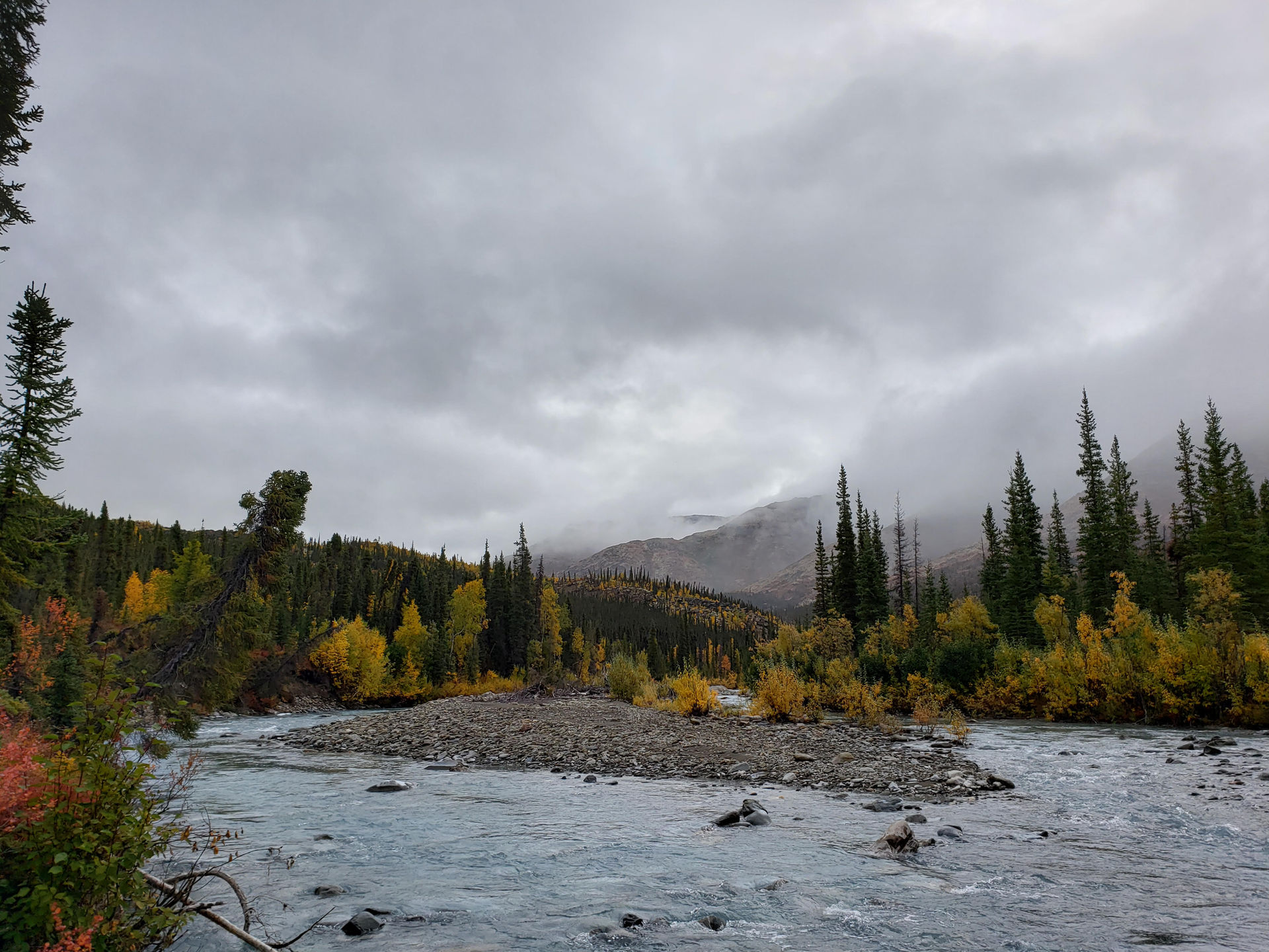 A river forks at a gravel riverbed. The clouds are gray, making the spruce trees look almost black. Some color––yellows and oranges––is visible in the picture, as the season transitions to fall.