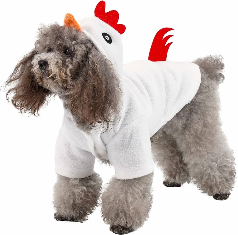 DISFRAZ MASCOTA POLLO