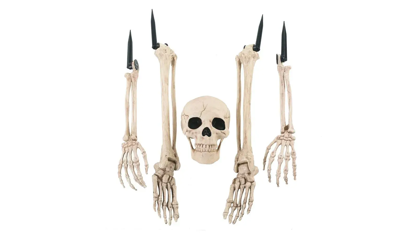 ESQUELETO EN PIEZAS PARA EXTERIORES 