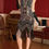 Miniatura: DISFRAZ CHARLESTON GATSBY NEGRO DORADO IRIDISCENTE