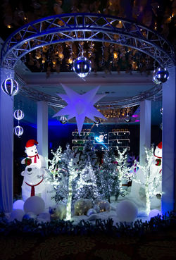 Always Party Costa Rica