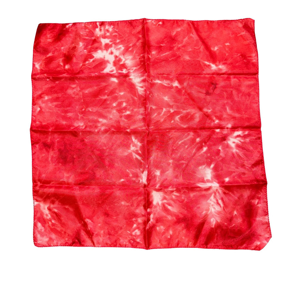 PAÑUELOS Y BANDANAS | Carnaval Always Party Costa Rica