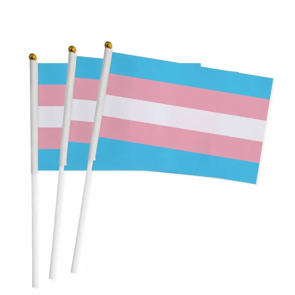 Miniatura: BANDERA DIVERSIDAD ORGULLO GAY LGTB CON PALITO PRIDE