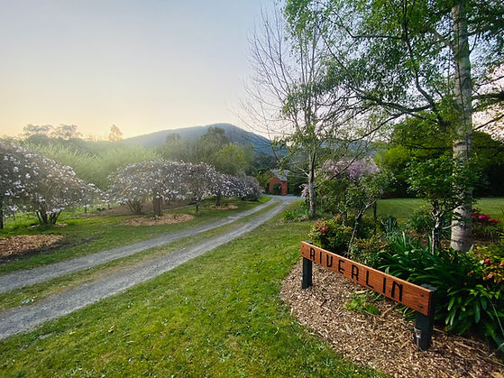 Driveway Entrance on Warm night