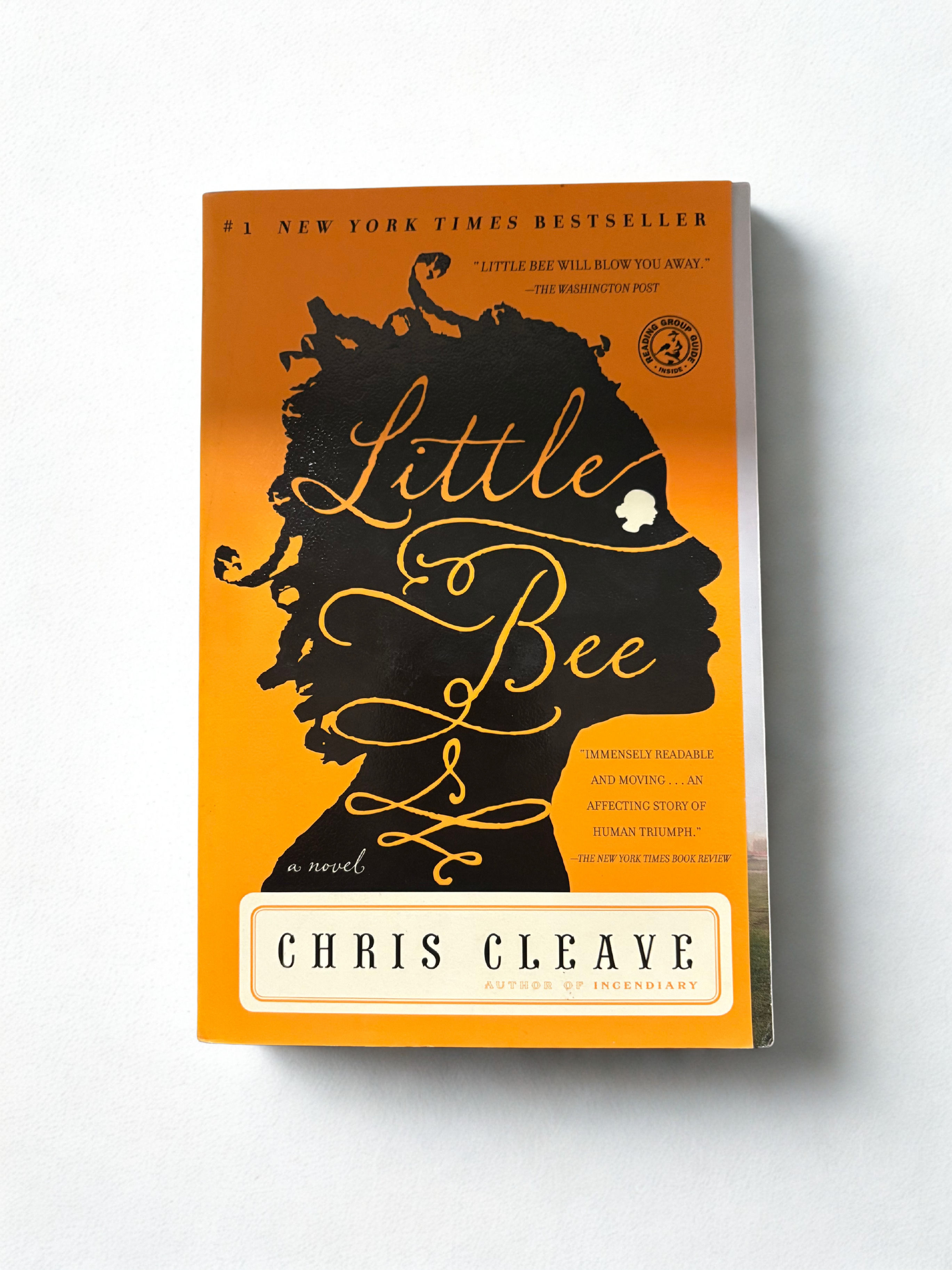 The Other Hand - Little Bee Chris Cleave