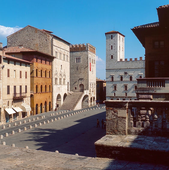 festival support.jpg