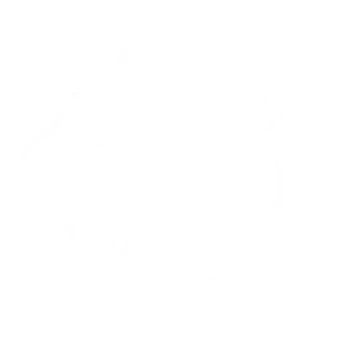 bglift-logo-pantera-bianca-300x300.webp