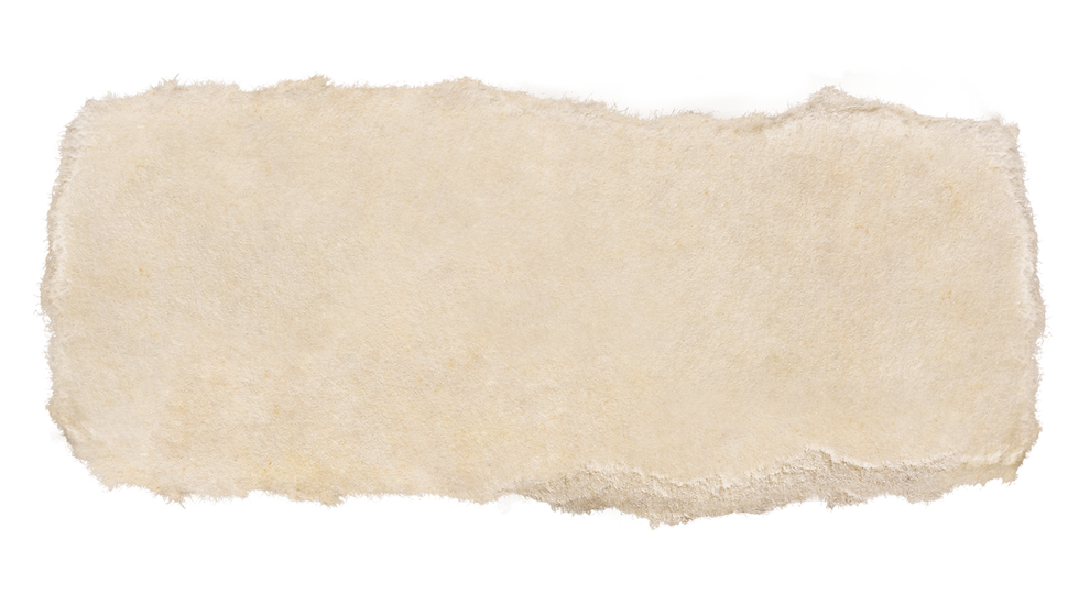 image-from-rawpixel-id-6515843-original.png