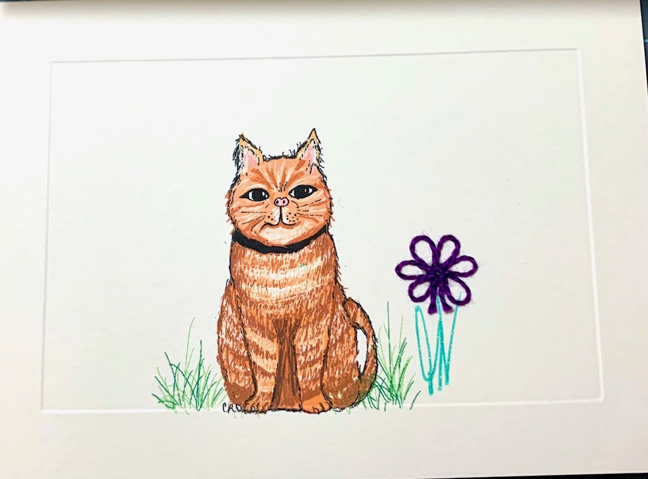 CT022 - ORANGE CAT