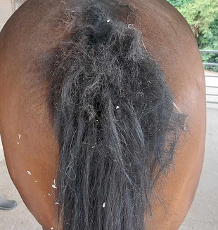 Untitled design (49).png