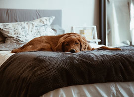 Odor Removal
