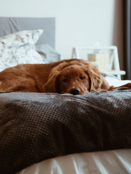 My Unconventional Guide To Beating Laziness