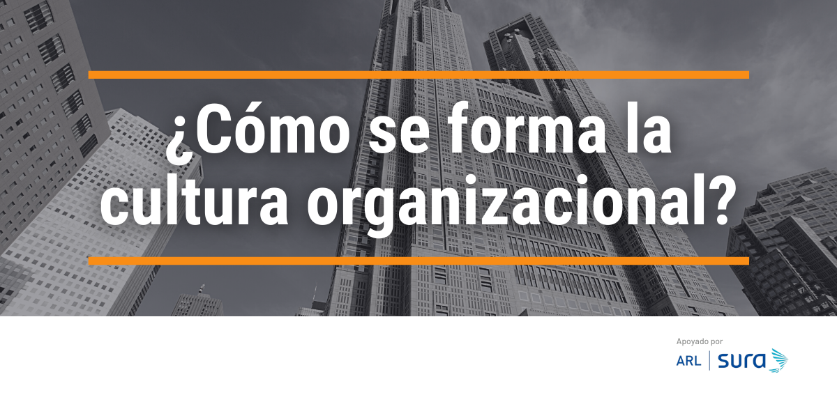 ¿Cómo se forma la cultura organizacional?