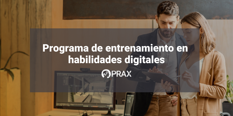 Programa de entrenamiento en habilidades digitales