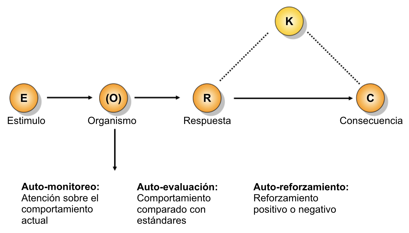 El autocontrol aplicado al contexto organizacional