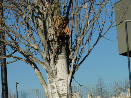 Observation au Jardin