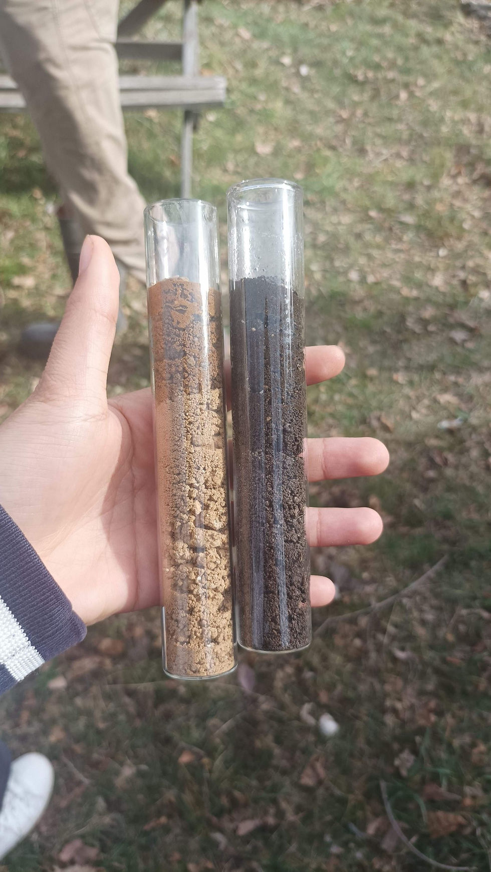 Ici un exemple de deux sols, montrant la différence apparente d’un sol riche en matière organique (plus sombre).