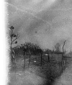 Paul Bundle 54 Roll 3 038