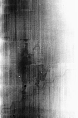 Paul Bundle 14 Roll 22 009