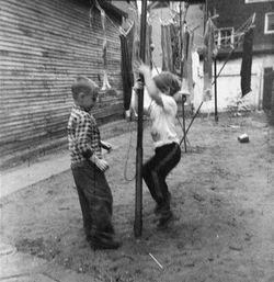 Paul Bundle 50 Roll 5 007