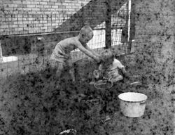 Paul Bundle 8 Roll 3 007.jpg