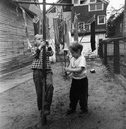 Paul Bundle 50 Roll 5 002