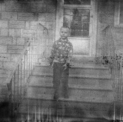Paul Bundle 50 Roll 6 008