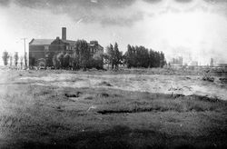 Paul Bundle 50 Roll 3 007